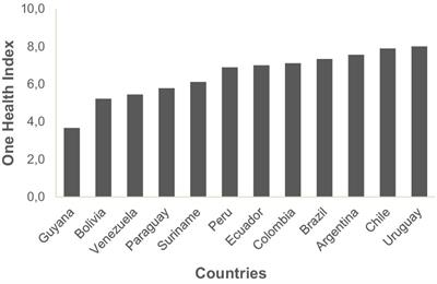 One Health Index applied to countries in South America